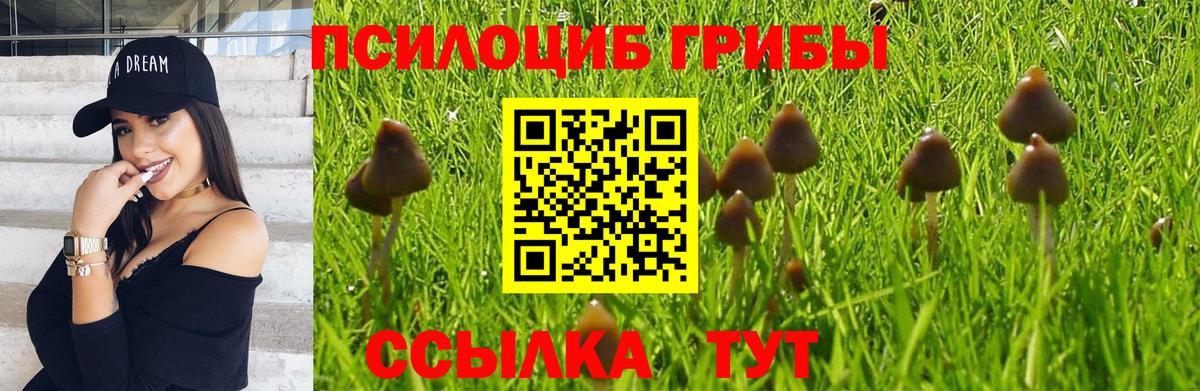Галлюциногенные грибы MAGIC MUSHROOMS  Вход с VPN  Псилоцибиновые грибы прущие грибы  Серпухов 